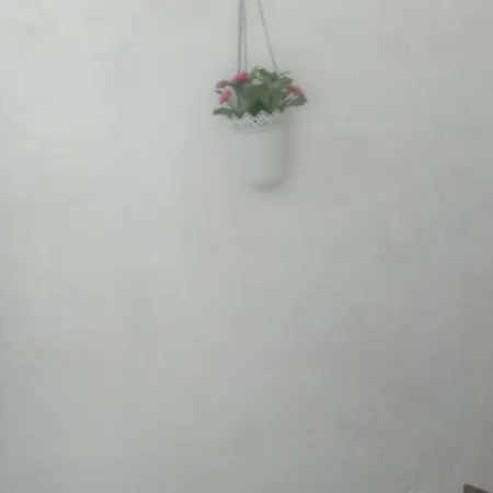 La Volta Buona Ferienhaus